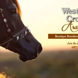Western Cross Ranch