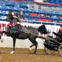 311524D0-7F9C-4A7E-9F8C-67E9440DD0AB