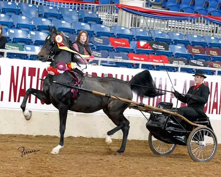 311524D0-7F9C-4A7E-9F8C-67E9440DD0AB