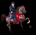 31AE5112-5ADF-4E9B-BDB0-143D7289D7AA