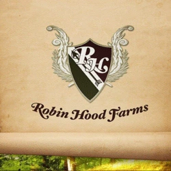 ASO Banner Image_Robin Hood