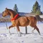 06664FC7-DBB5-4211-9440-AAACBFF39393