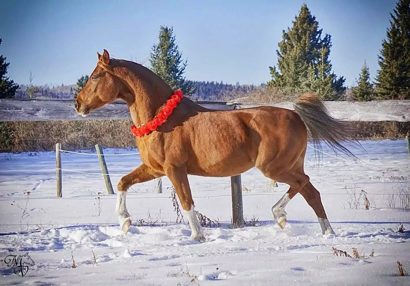 06664FC7-DBB5-4211-9440-AAACBFF39393