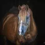 E345EF9B-F81E-4F77-8682-B54A9B7ED7BB