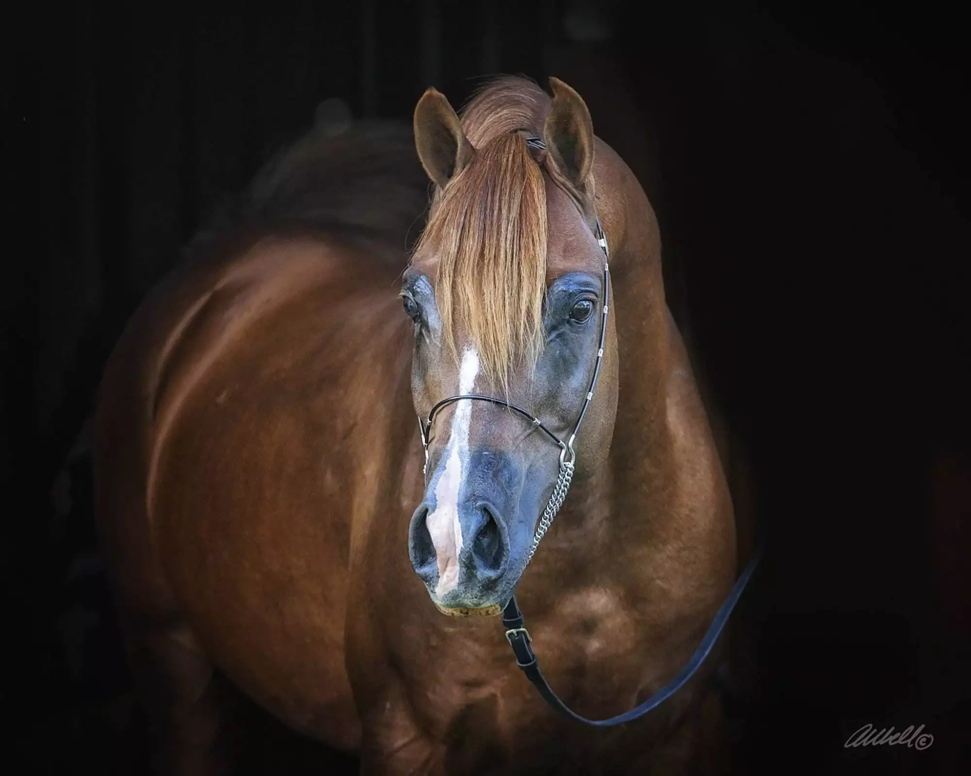 E345EF9B-F81E-4F77-8682-B54A9B7ED7BB