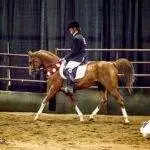 CADAF6E3-DAA3-4A5D-BC1E-B588A31EA6F1