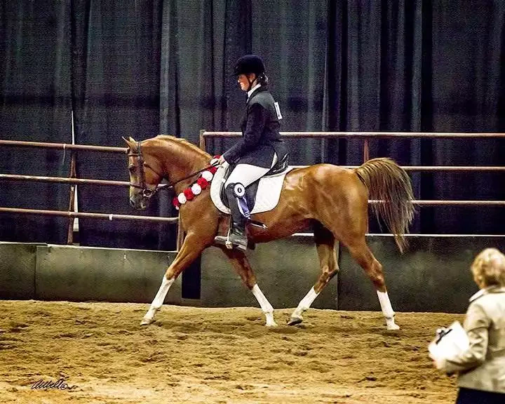 CADAF6E3-DAA3-4A5D-BC1E-B588A31EA6F1