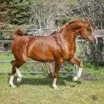 B6A76D36-0CC5-4FFC-AF24-A15A5D2E01B9