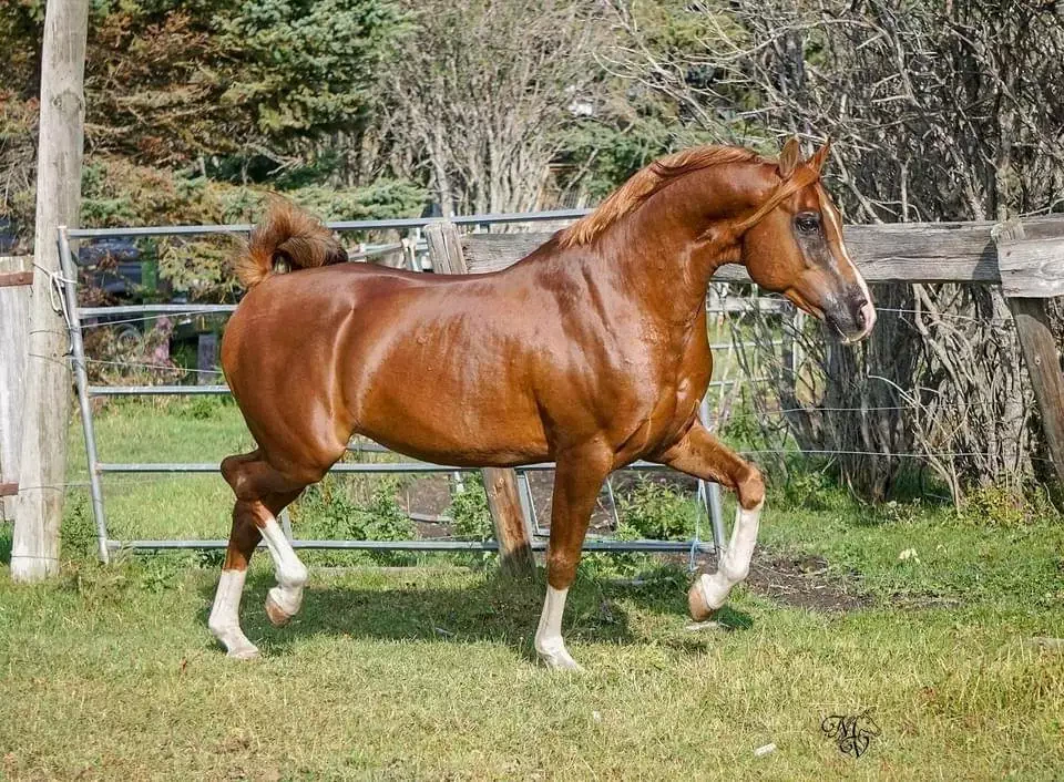 B6A76D36-0CC5-4FFC-AF24-A15A5D2E01B9