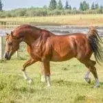 9B4150E5-8BE6-45E8-9A44-BB1F19BB3F68