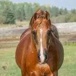 3478B201-C59D-4F15-B3C5-3A2F1D75C0AF