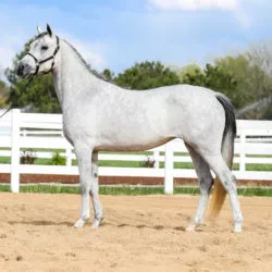 Izzabella B May 2020