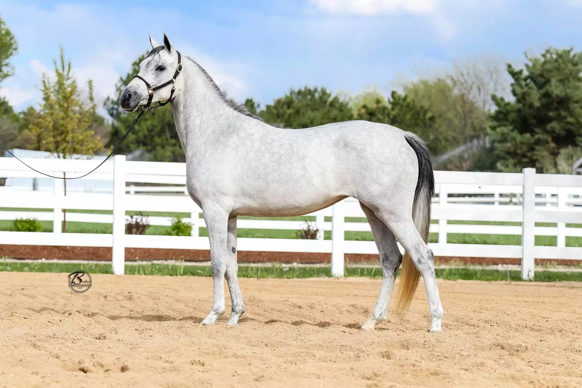 Izzabella B May 2020