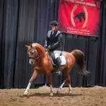 5A9CDDC4-47A0-4F87-9ED5-F213F8B11ACC