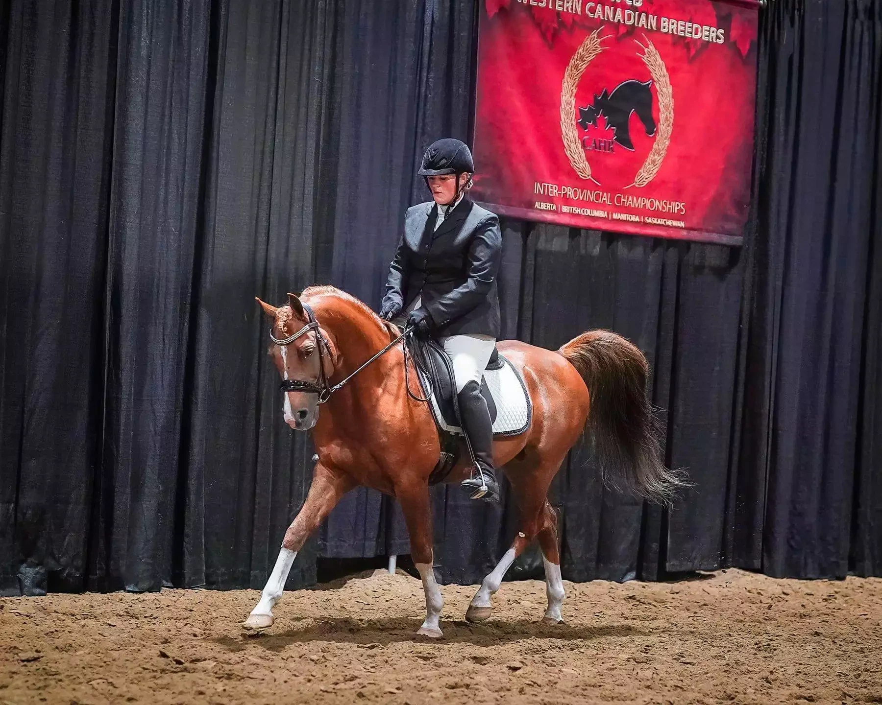 5A9CDDC4-47A0-4F87-9ED5-F213F8B11ACC