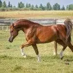 09CD428E-B57D-4DCA-9A6B-8152960A1BD9