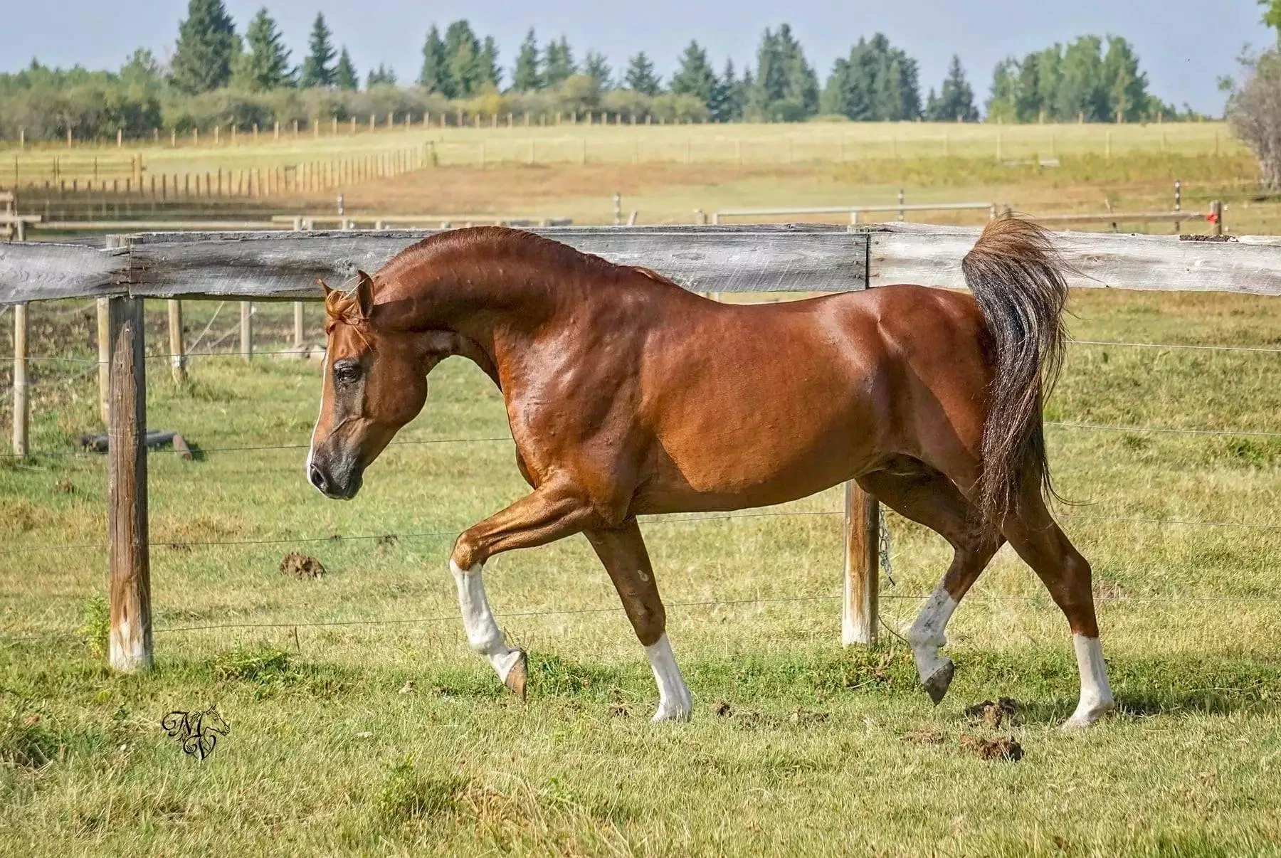 09CD428E-B57D-4DCA-9A6B-8152960A1BD9