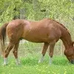 92BF5F48-2502-4205-8B00-71A2F1CBBBB4