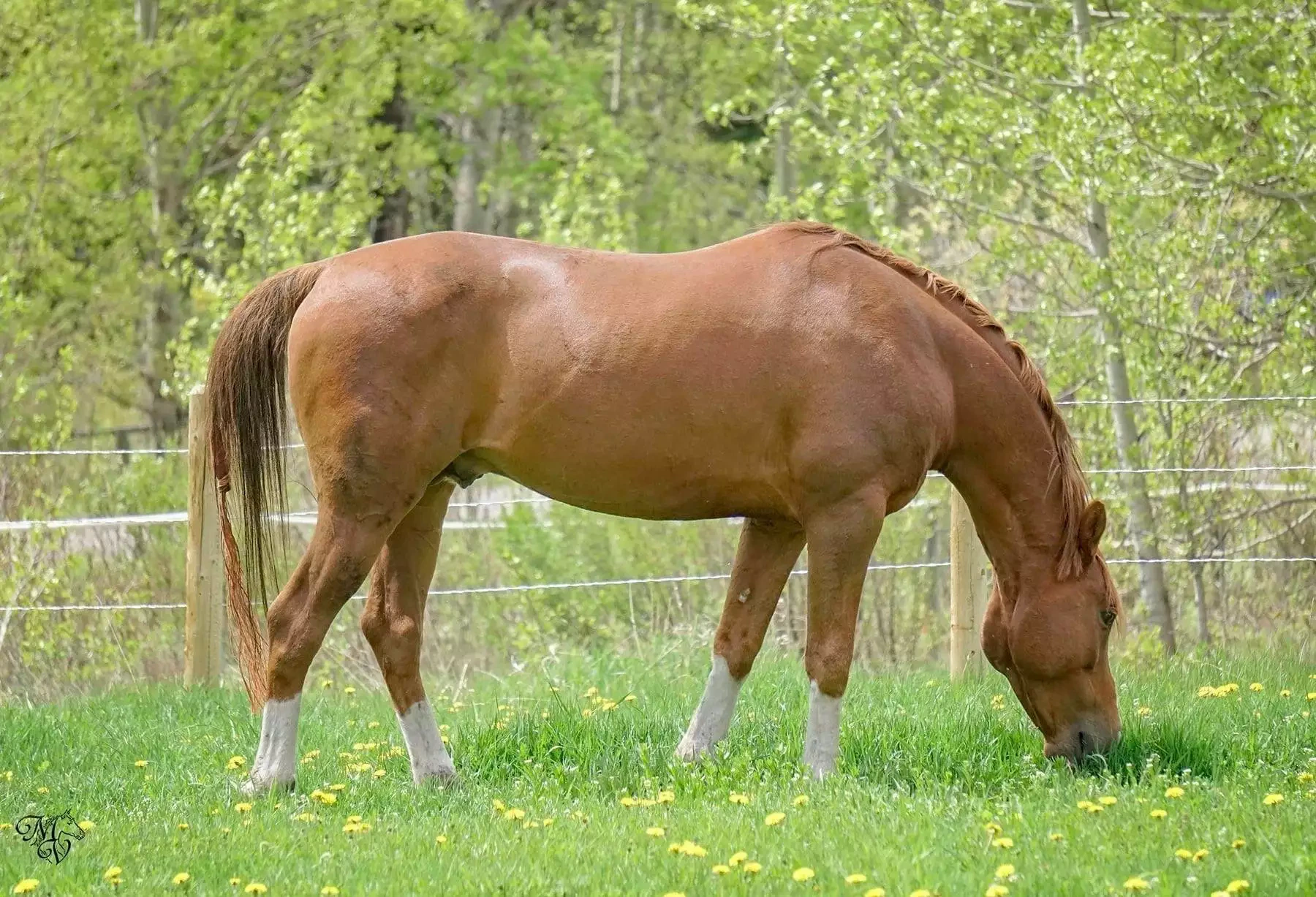 92BF5F48-2502-4205-8B00-71A2F1CBBBB4