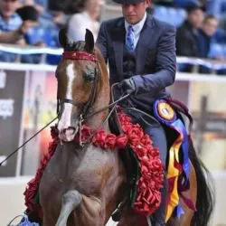 A41FE6A9-AB1C-477D-9F02-6B87144E06D4