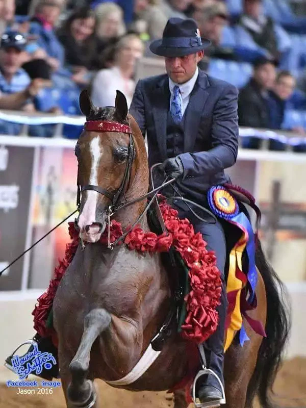 A41FE6A9-AB1C-477D-9F02-6B87144E06D4