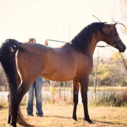 1586857C-7A6D-4FE3-9309-77586D3341B4 1586857C-7A6D-4FE3-9309-77586D3341B4