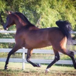 F6425751-19D2-4716-B649-797D2A20081B F6425751-19D2-4716-B649-797D2A20081B