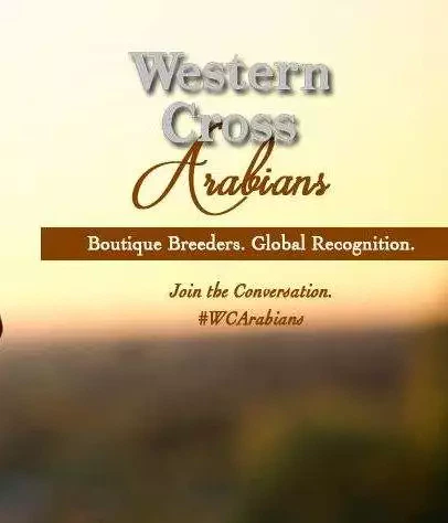 Western-Cross-Ranch-1