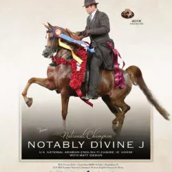 B47B6E4E-DB44-4718-B2B3-22591E1A56FA