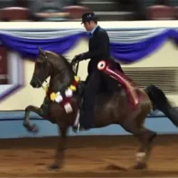 915F2284-A500-43B9-BC49-C46B015D2BBC