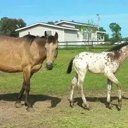 FB_IMG_1625585034134