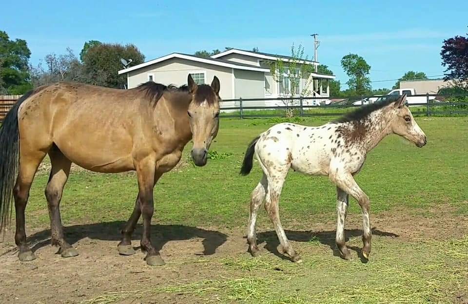 FB_IMG_1625585034134