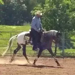 FB_IMG_1615138895593