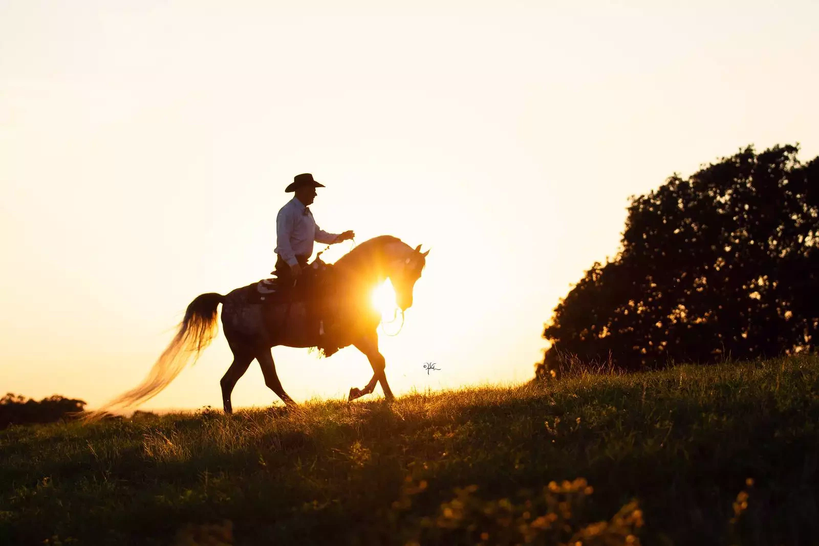 Quintas_9-22_Arsalan-0525 (1)-X3