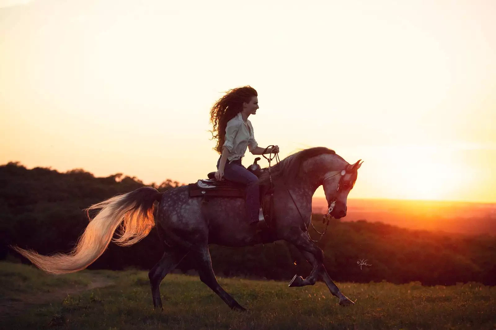 Quintas_9-22_Arsalan-0548-X3