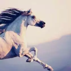 313430387_5985123048184671_5000855389941422592_n