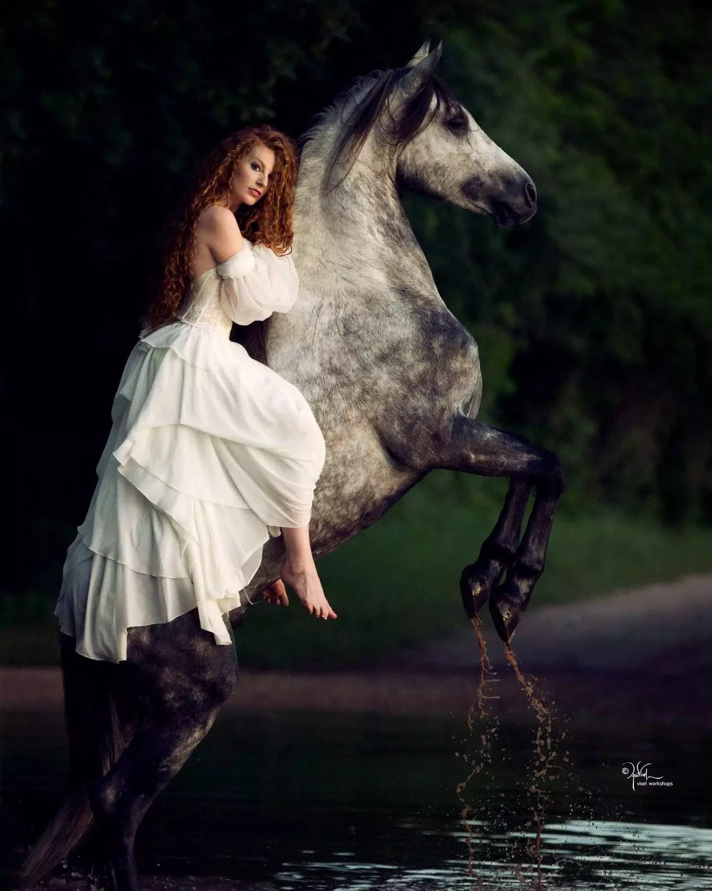 60423146_10213054610589546_5690032575649677312_n