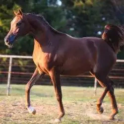 468056323_10234913622124895_6864830430058035030_n