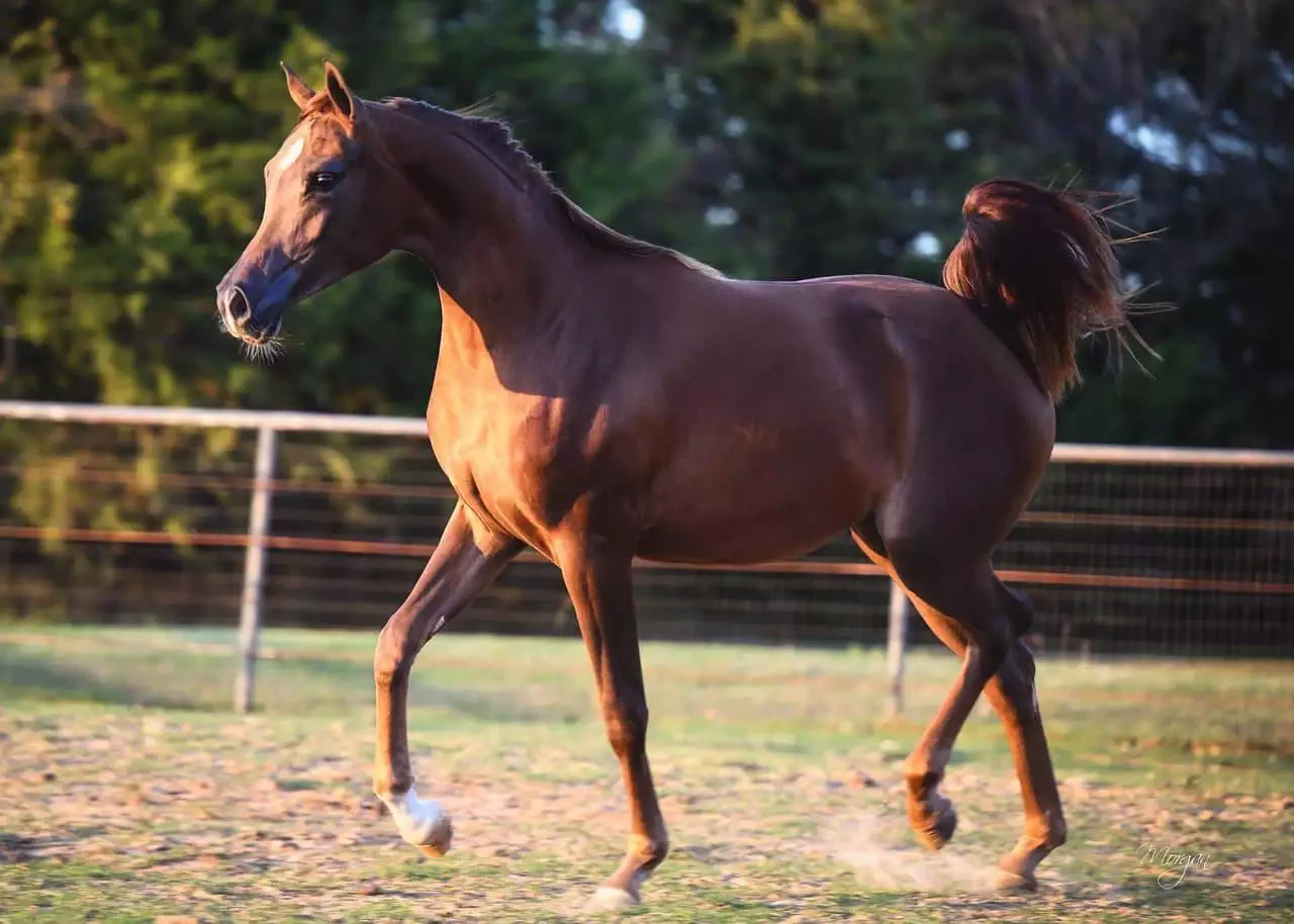 468056323_10234913622124895_6864830430058035030_n