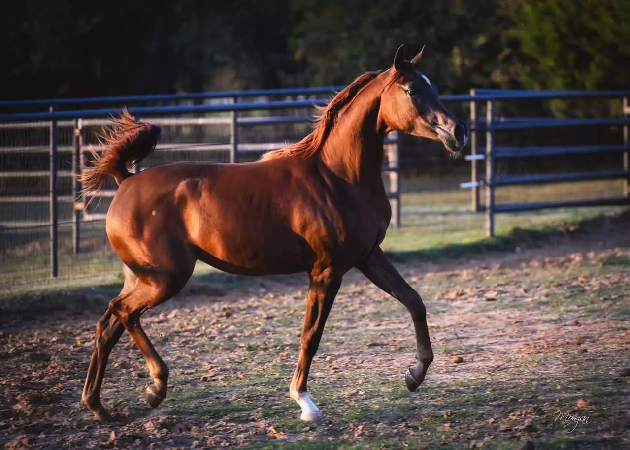 468214108_10234913622044893_1054507155609541310_n