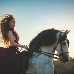 CaWS_10-24_Hill_435-X3