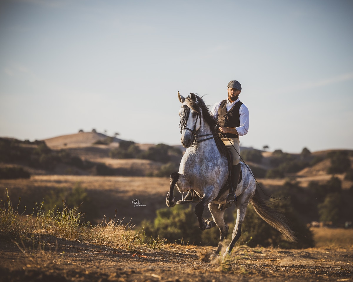 CaWS_10-24_Hill_422-X2