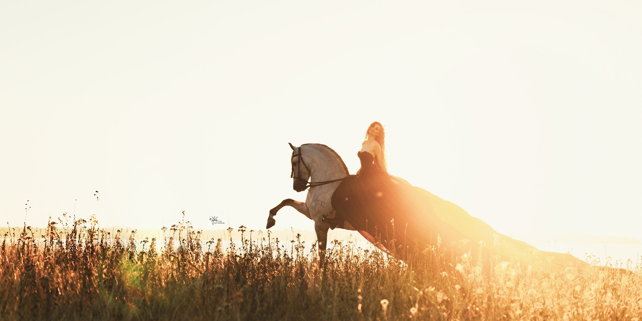 PopUP_11-24_Texas_119-X4