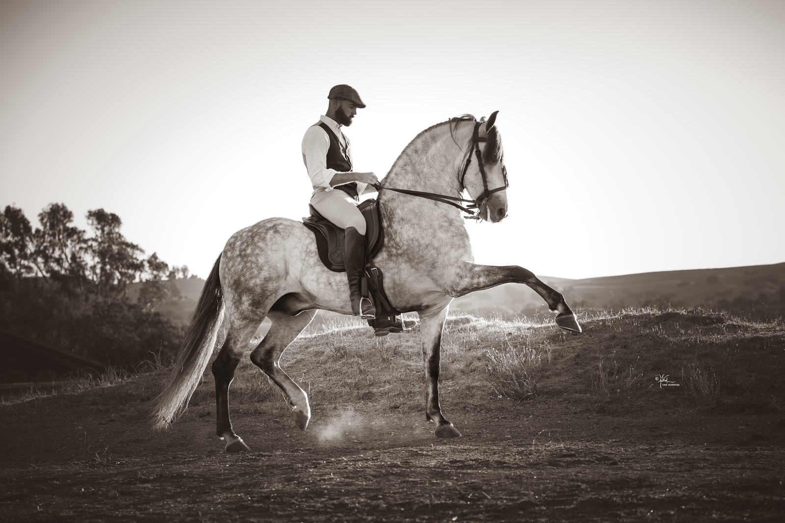 CaWS_10-24_Hill_450-X3