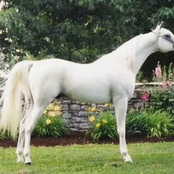 Mohave 300dpi 4x5 - Copy