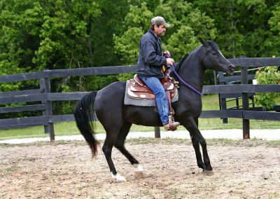 Alayla 2007 & Lindell freestyle - Copy