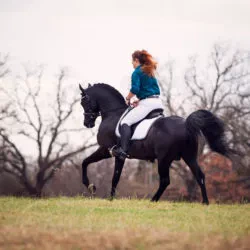 17BFF308-6FEF-457D-A18D-2B20E28D3098