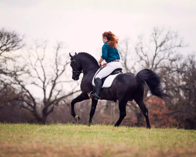 17BFF308-6FEF-457D-A18D-2B20E28D3098