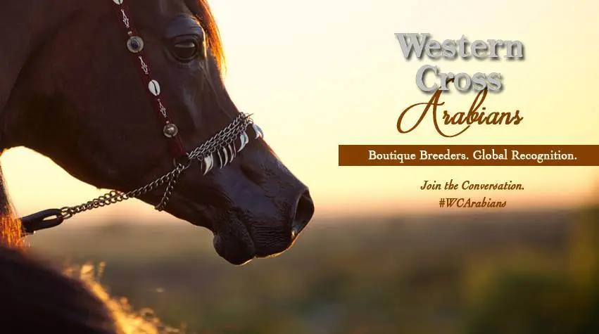 Western Cross Ranch