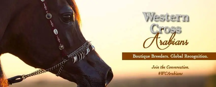 Western Cross Ranch